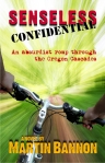 Senseless Confidential, a fun book to read