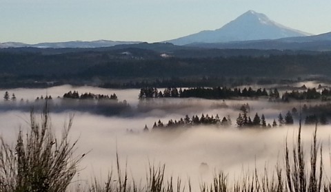 Mt. Hood in Pacific Northwest fog